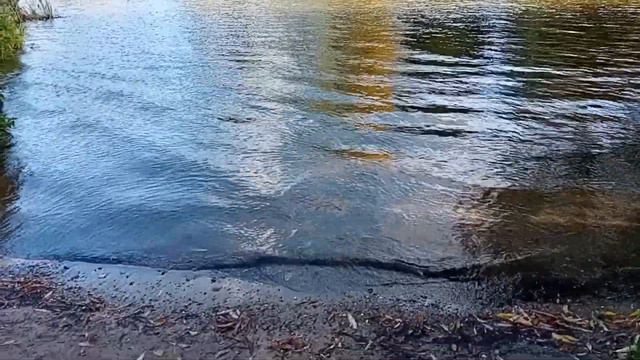 River Thames. Cholsey. UK смотреть онлайн