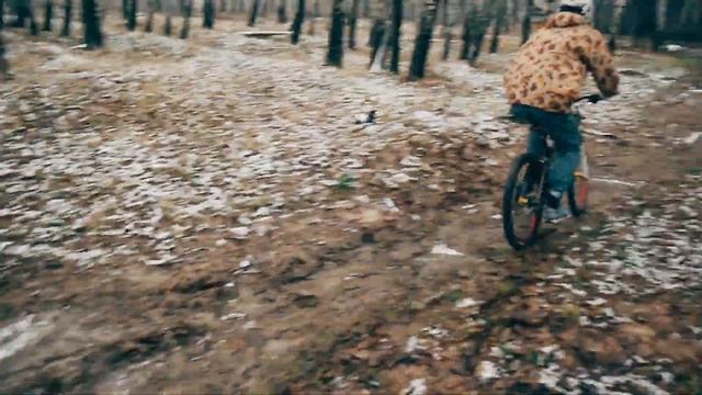 FreeMotion | The Specialized Demo 8 II PRO