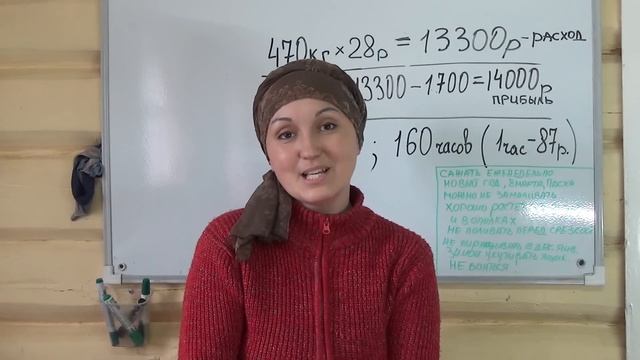 Сколько я заработала на зеленом луке. Отчет. Выводы. смотреть онлайн