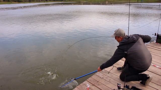 ЧЕМПИОНАТ СОЧИ 2023