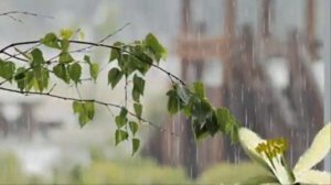 И пусть в окошко дождь стучится Светлана Беликина баян Эгон Шиллер Автор видео Нина Рудакова