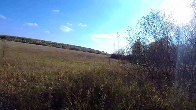 Металлокоп 2023. Нетронутые места