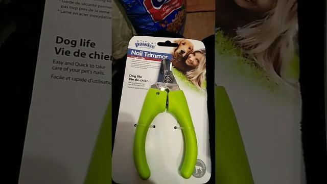 для кошек и собак купил постигать когти #когти #когтичиска#ножннцы#животные смотреть онлайн