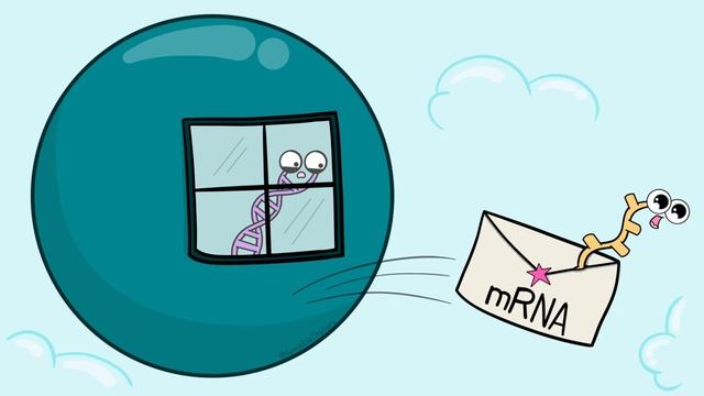 DNA vs RNA (Updated).mp4 смотреть онлайн