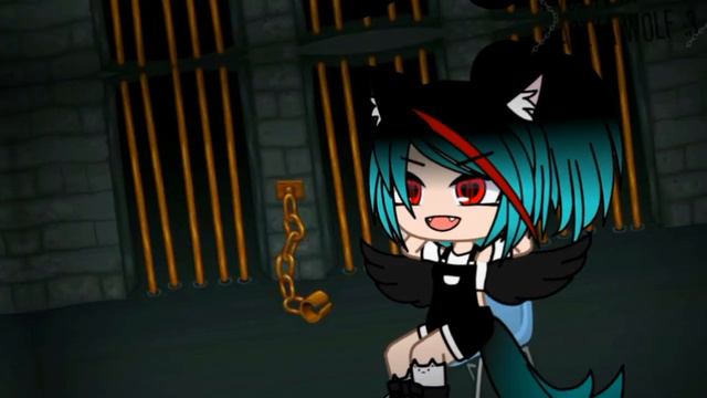 Меме//Бим Бам Бум//от Nastya Wolf :3 смотреть онлайн