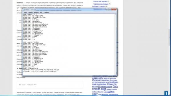 Настройка файла robots txt для WordPress