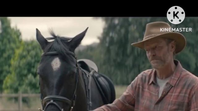 Black beauty /movie explained смотреть онлайн