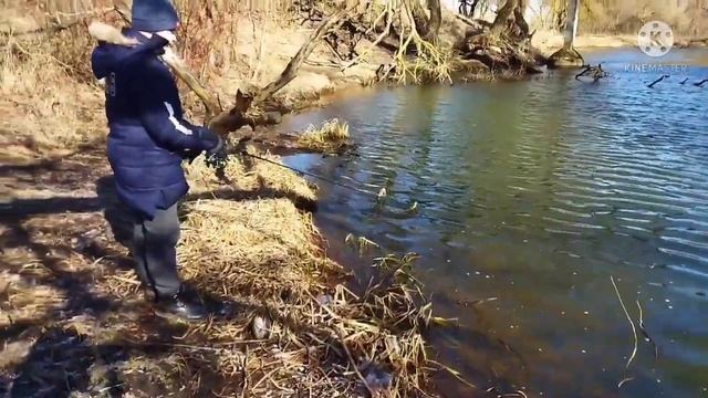 Ловля на спиннинг на речке плиса в 2022 году смотреть онлайн