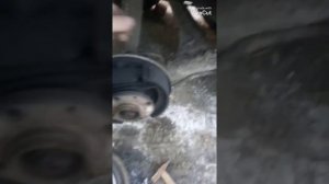 шум скрип в заднем  колесе при езде ваз 2114,2115, одна из пречин.