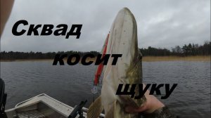 Обзор воблера Kosadaka Squad XS 128SP