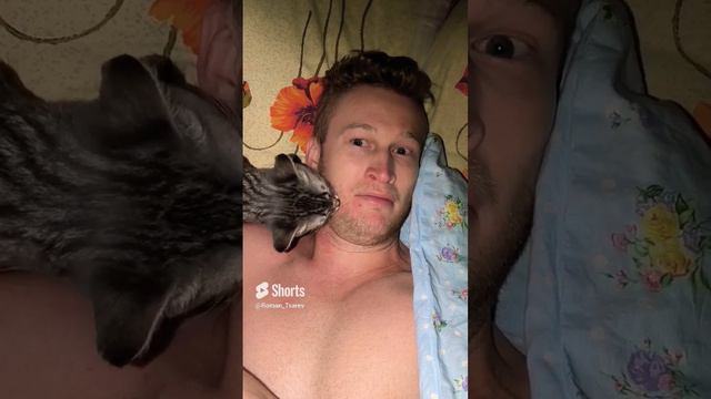 проснулся от того, что кто то меня... 🤣🤣🤣 #shorts смотреть онлайн
