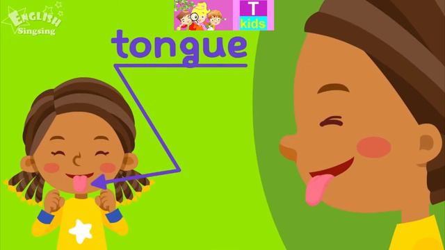 English - Vocabulary - T