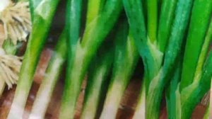 Что можно посеять в июле? Что посадить в огороде в июле? Что можно сажать в июле?