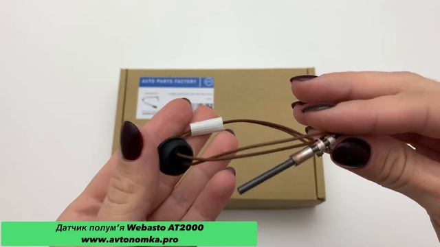 Датчик полум’я Webasto AT2000 смотреть онлайн