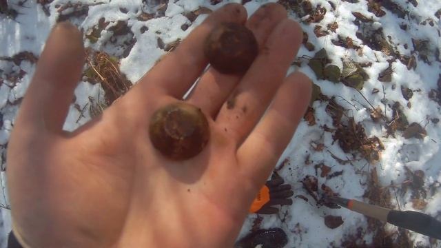 ? Коп в четыре металлодетектора смотреть онлайн