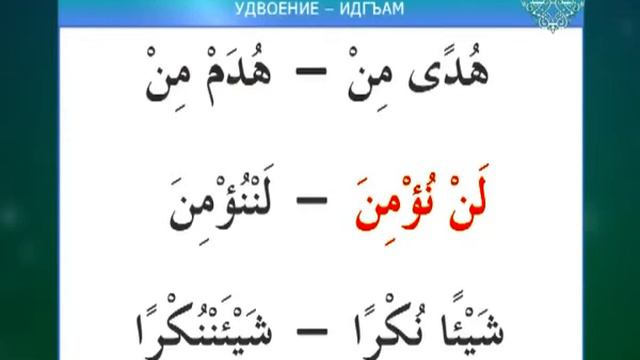 Муаллим Сани. Урок 21 - Правила чтения нун сукуна и танвина. смотреть онлайн