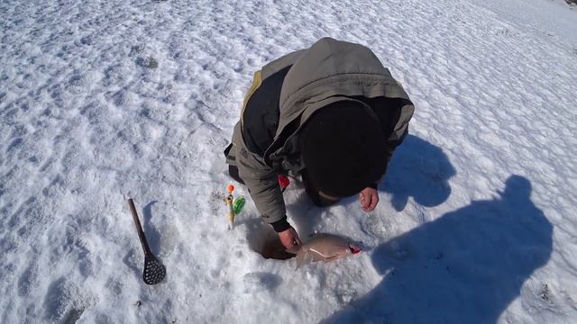 ВОТ ЭТО РЫБАЛКА! ПО ДВА ,ПО ТРИ ШТУКИ ЗА РАЗ! Рыбалка на комбайны. смотреть онлайн