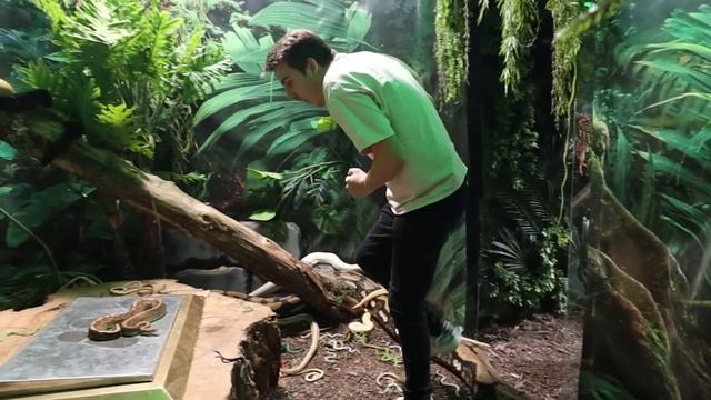 World’s Most Dangerous Escape Room! смотреть онлайн