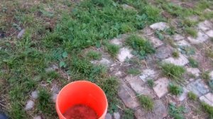 Ловушка для мух/липкая лента,пластиковая бутылка.