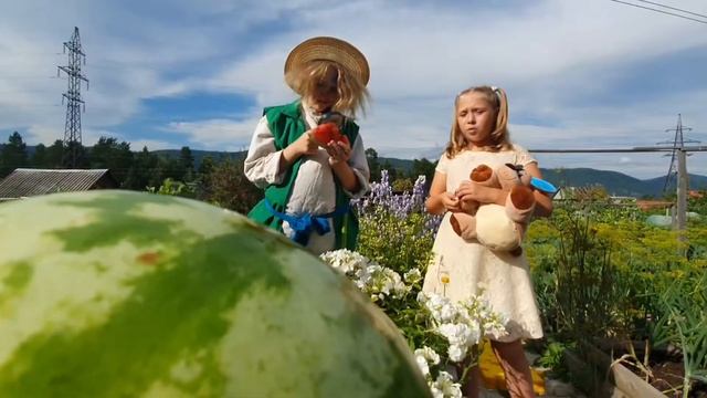 Почемучка. Почему арбуз это ягода? - 8 выпуск. смотреть онлайн