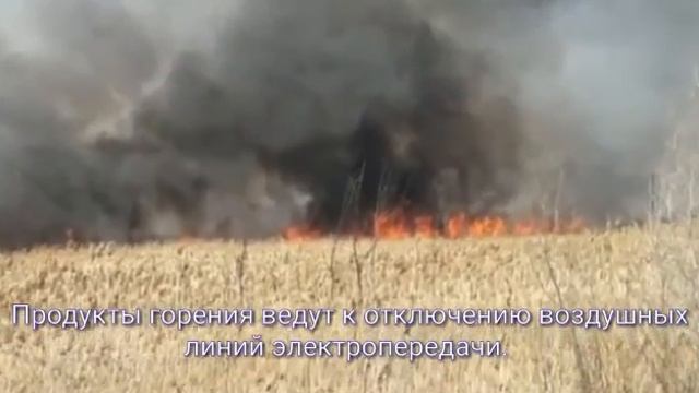 ? Природные пожары вблизи охранных зон смотреть онлайн