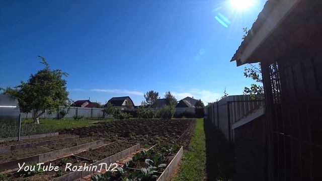 Урожайный сад и огород своими руками | Дачные советы смотреть онлайн