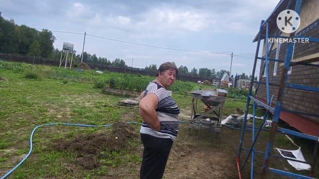 Куры несут голубые яйца / Гром и молния непогода смотреть онлайн