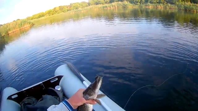 Щука и окунь на спиннинг в июле с лодки. рыбалка 2019 ловля на спиннинг смотреть онлайн