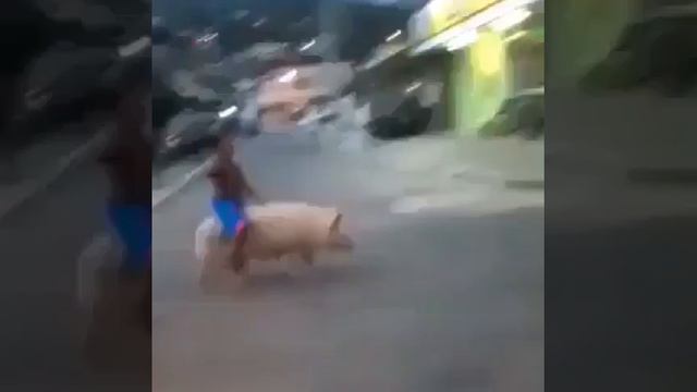 Hog Rider Earrape [1 Hour]