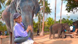 Что посмотреть на Пхукете: Слоны, кафе, достопримечательности. Таиланд