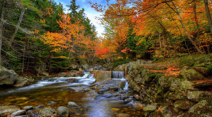Звуки успокаивающего водопада в лесу ✦ Звуки леса и пение птиц ✦ Relax Sleep смотреть онлайн