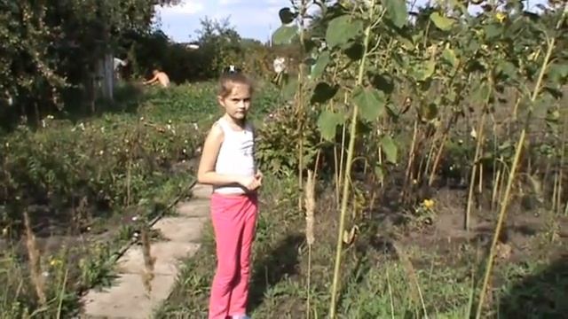 Дача 10 сентября 2017г смотреть онлайн