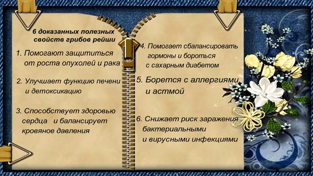 Гриб Рейша смотреть онлайн