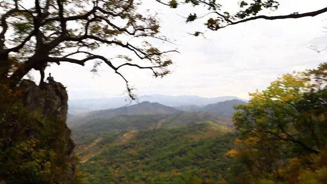 MVI 4041...Природа Приморского края ... смотреть онлайн