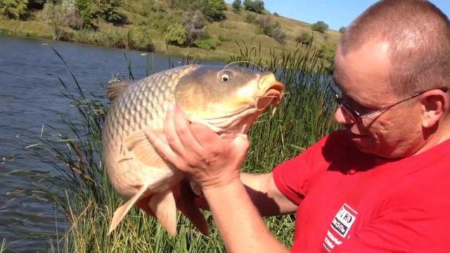 долина цветов 04-08-2013 смотреть онлайн