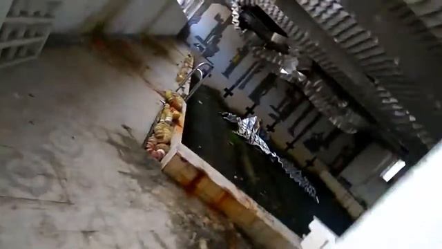 Бассейн "Дельфин", г.Павлоград смотреть онлайн