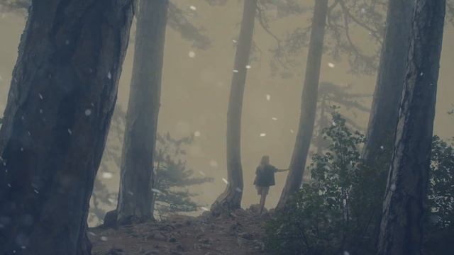 Буктрейлер к книге "Академия Нави" Кристина Юраш смотреть онлайн