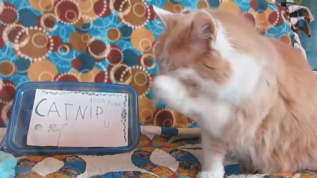 Marty McFly смотреть онлайн