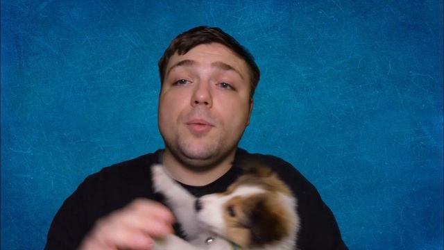 Doc Roy's FORTI CAL Nutritional Gel - Best Puppy Vitamins ever? - MumblesVideos Product Review смотреть онлайн