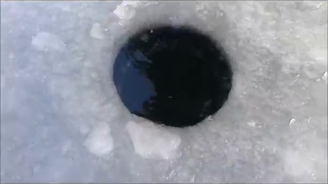 Кова смотреть онлайн