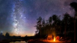 Звёздное небо, уютная ночь в лесу у костра | Звуки природы для сна и отдыха
