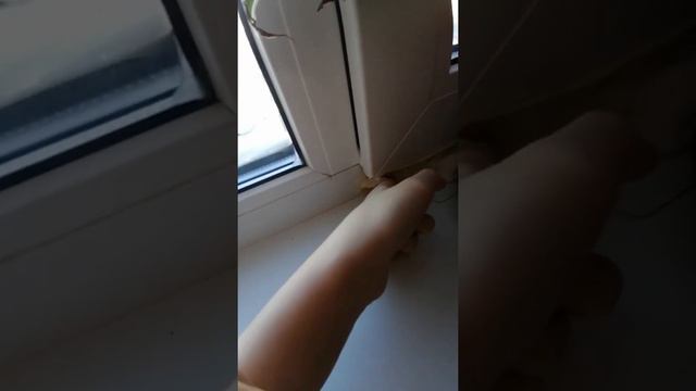Шо сейчас происходит в Екатеринбурге снег проступает через окна -_- смотреть онлайн