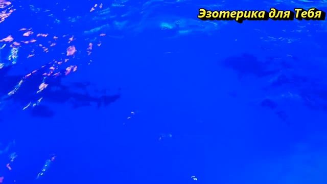 Почему необходимо пить воду в великий православный праздник Сретение Господне 15 февраля смотреть онлайн