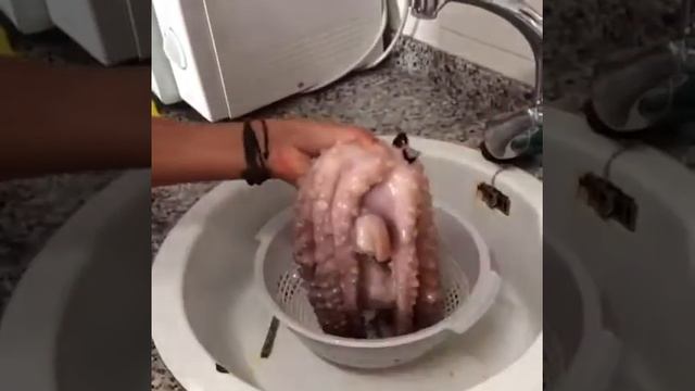 Как приготовить осьминога смотреть онлайн