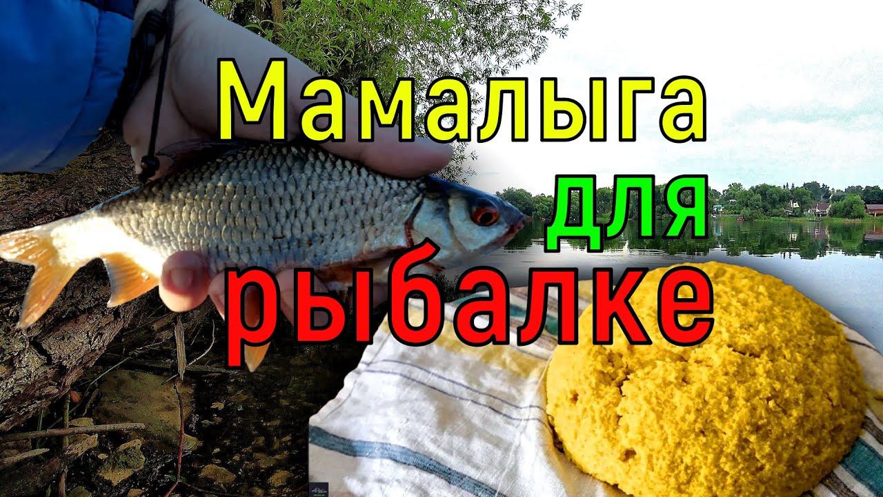 Мамалыга для мирной рыбы. Тесто для рыбалке. Приготовление рецепт мамалыги. смотреть онлайн