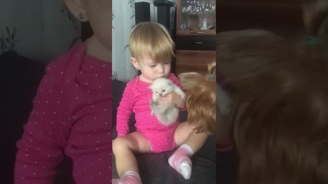 Как уложить котёнка спать 2 смотреть онлайн