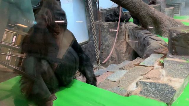 9 января 2020 г. смотреть онлайн