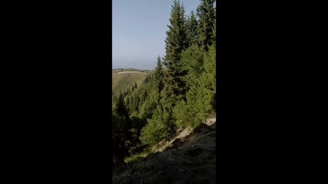 В ПРЕДГОРЬЯХ АЛМАТЫ ВЛАСТИ УНИЧТОЖАЮТ ПРИРОДУ! смотреть онлайн