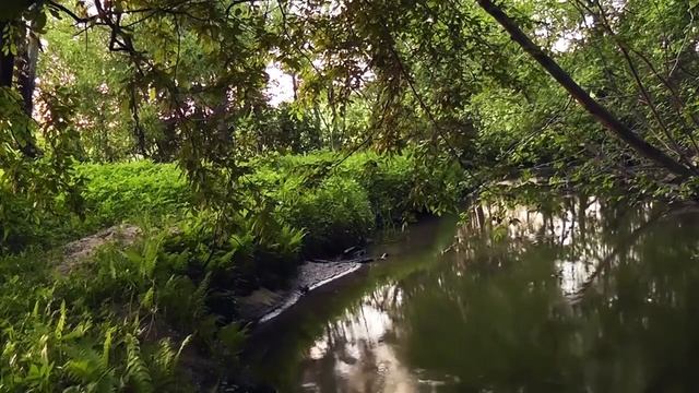 НАСТРОЙ ОТ ВЫСОКОГО ДАВЛЕНИЯ №1 Для мужчин Лучший! Сытин (без музыки) смотреть онлайн