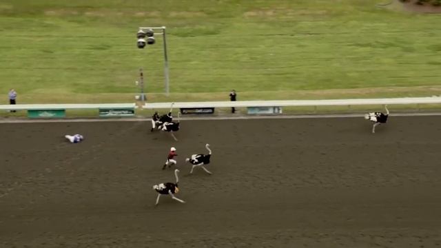 Необычные и СМЕШНЫЕ Виды СПОРТА топ-10 смотреть онлайн